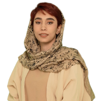 استاد پرنیان موسوی